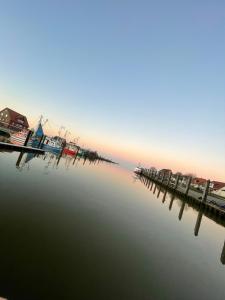 Willi - Familienurlaub direkt am Deich