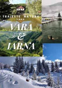 Cabana Țibleș Bichigiu