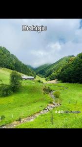 Cabana Țibleș Bichigiu