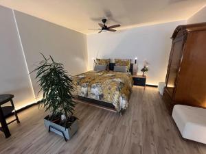 Budahome im Schwarzwald