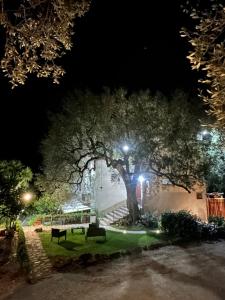 La Casa del Maestro Attico