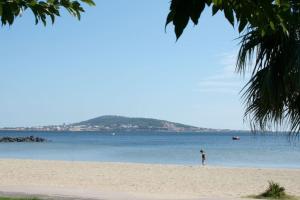 Appartements Appartement en plein centre a 100m du port : photos des chambres