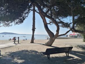 Appartements Appartement en plein centre a 100m du port : photos des chambres