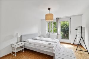Spacious Apartment in Zurich