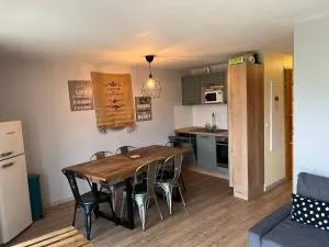 appartement au pied des pistes - 圣让达尔沃