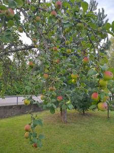 Emmas country cottage in southern Sweden