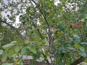 Emmas country cottage in southern Sweden