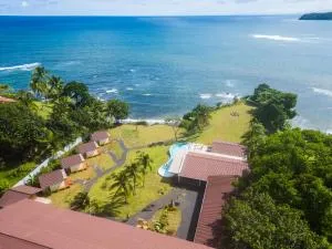 Bambuda Santa Catalina - La Punta