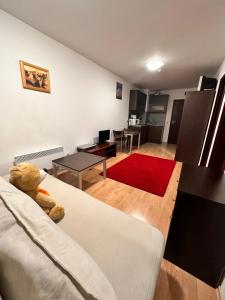 Mountain Paradise 2, One bedroom apartment