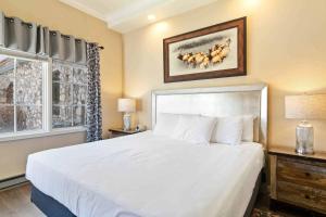 The Borders Lodge - Lower Borders 108