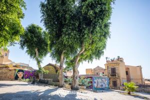 Living Villanova Apartment img20