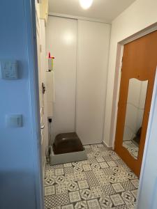 T3 Charles de Gaulles, Disney, Astérix, Parc des expo