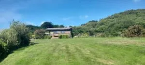 Sunny View Farm - Bugle