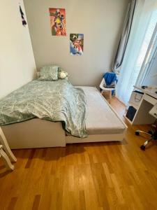 T3 Charles de Gaulles, Disney, Astérix, Parc des expo