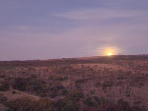 Tonquani Bush Chalet