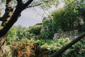 Oasi Apartment Verona