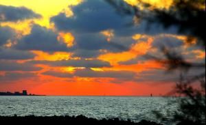 CASA CAVORA - Villa Petunie