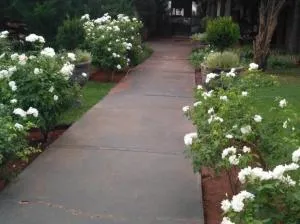 Immanel Guesthouse - Bloemhof