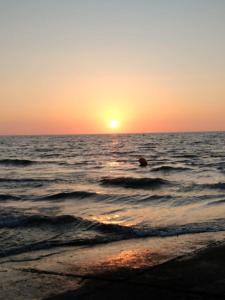 Appartements T2 refait a neuf : photos des chambres