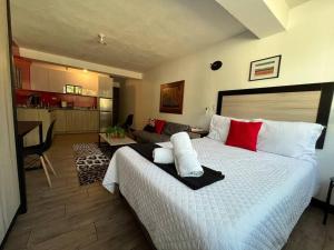 DStja - 2 studios next to each other