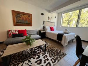 DStja - 2 studios next to each other