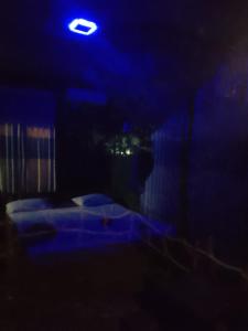 inn on the rock daambulla