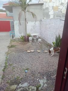 Kitinete Rio vermelho