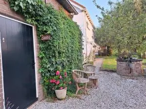 B & B 'Droom in de polder de Suite met prive sauna - 阿讷默伊登