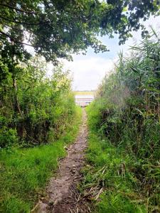 Domek nad jeziorem przy lini brzegowej Górowychy, Pomorze