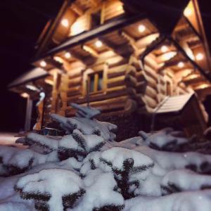 Domek na Wierchu Bukowiny