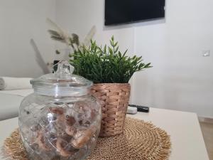 Apartment in the heart of the city 3A