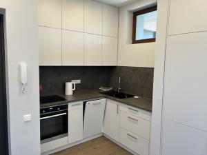 1-Bedroom Apartment by Šventosios vartai