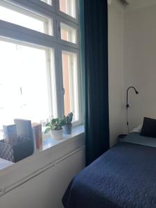 Cozy Kallio Studio, Eat, Explore, Commute Easy