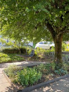 22 - Gästehaus Erika - Hundwil - Appenzellerland