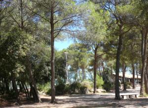 Studio entier pour vous avec parking et terrasse