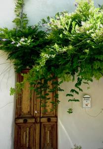 Villas Maison de Village : photos des chambres