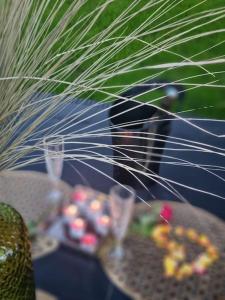 Gite Mani et Princesse à partir de 2 à 6 personnes