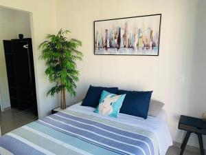 Franks House Collection Corifa