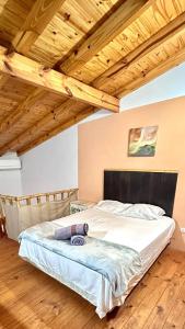 Apart del huésped II