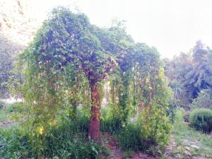Casa con jardín y aparcamiento en Viznar, junto a Granada