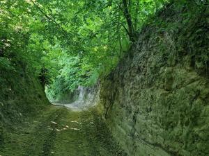 Agroturystyka Nad Bystra - Drewniany dom z pięknym ogrodem