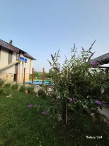 Vikendica Semizovac pool and relax - Semizovac