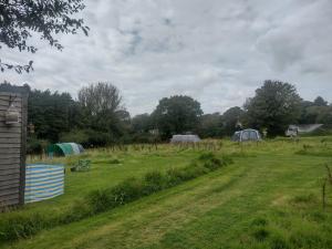 Tiny House Glamping, sleeps up to 6