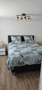 Appartement de 65m2 avec piscine partagée