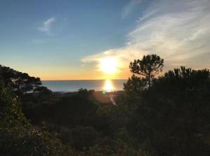 Surf Camp Ecológico