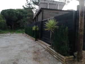 Surf Camp Ecológico