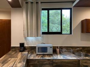 Casa SaQua Residencia Palenque