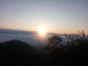 Unique point home stay