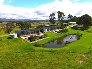 Pelican Point Sanctuary - Gladstone
