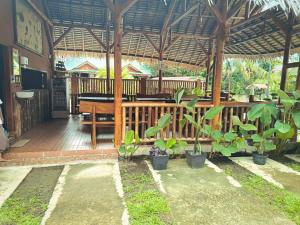 Jungle View Homestay & Guesthouse Only Stay Here Book Treking With Us